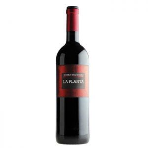 R.D. TINTO LA PLANTA COSECHA